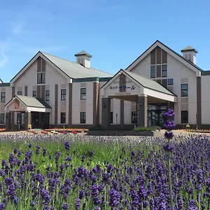 furano-la-terre.hokkaidohotelsjapan.com/